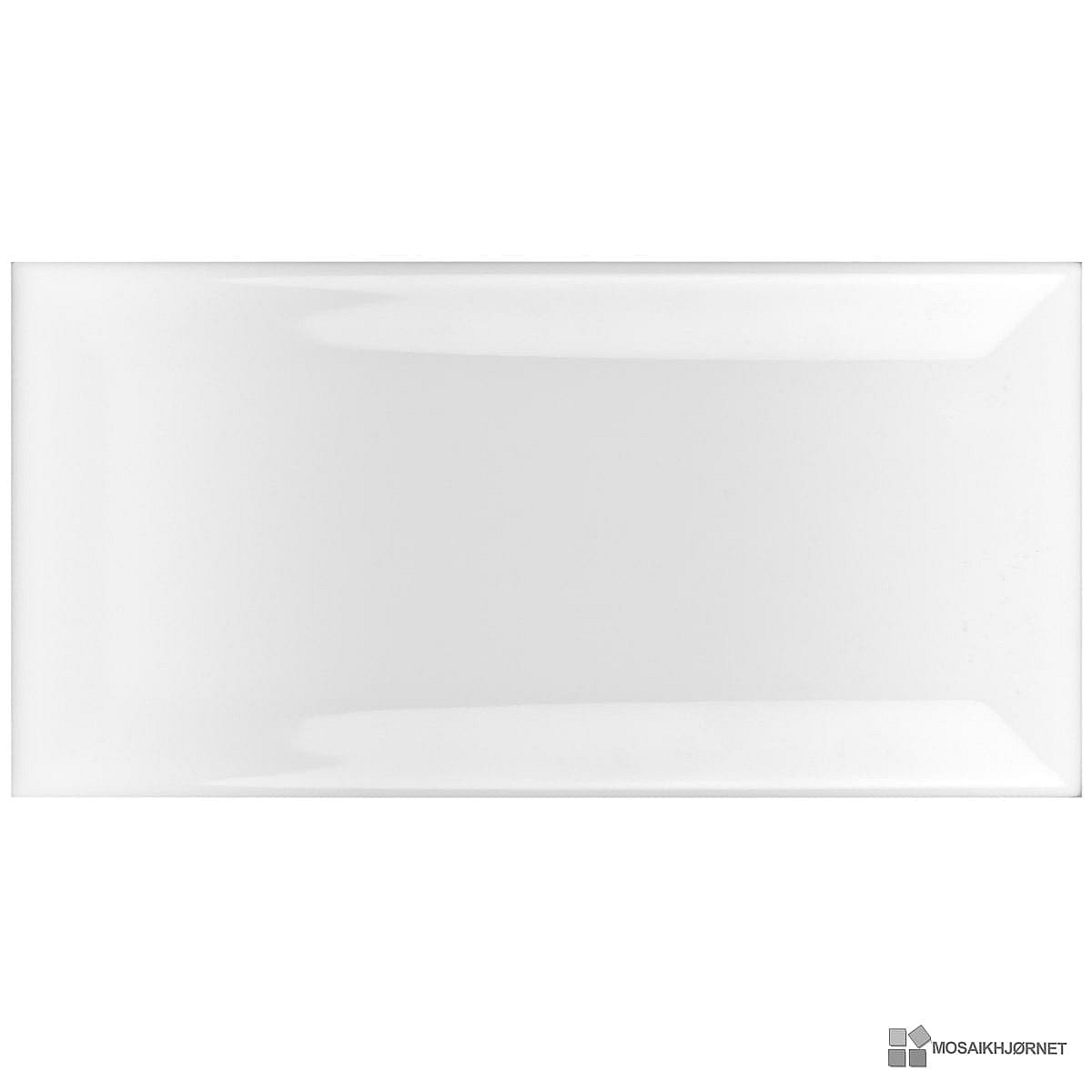 Ishvid Blank Facet 9,8x19,8