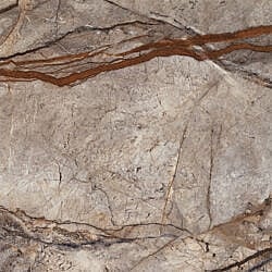 Brown Forest Blank 90x90 - keramisk flise i brunt marmorlook.