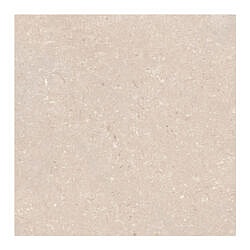 Limestone Coral 60x60 - keramisk vægflise i kalkstenslook