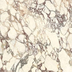 Calacatta Viola Soft 60x60 Keramisk flise i marmorlook