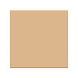 Beige Mat 9,8x9,8