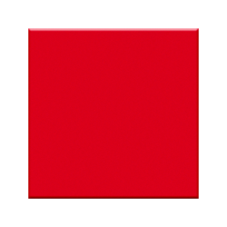 Rød Mat 9,8x9,8